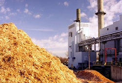 thumbnail image for BED & FERCo