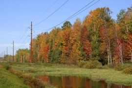 thumbnail image for Electric Ultility and Transmission