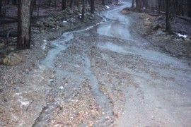 thumbnail image for Sugarbush Water Quality