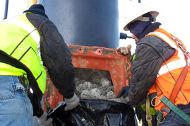 thumbnail image for Southbridge Landfill