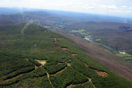 thumbnail image for Silverleaf Resorts