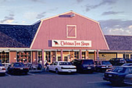 thumbnail image for Christmas Tree Shops - Yarmouth