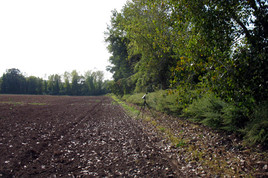 thumbnail image for Evergreen Crossing