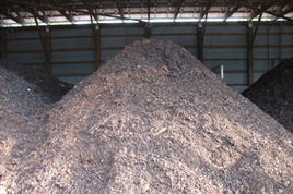 thumbnail image for Composting Facility Development