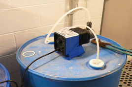 thumbnail image for Cape Regency Nursing & Rehabilitation