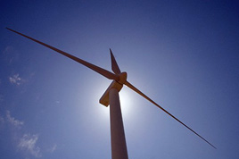 thumbnail image for Town of Wellfleet Wind Turbine
