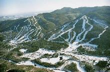 thumbnail image for Mount Snow Ski Resort