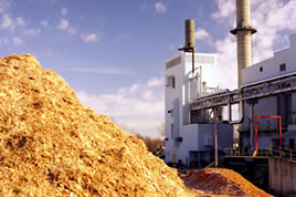 thumbnail image for Vermont Gasification Project